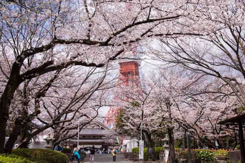 Entradas para la Torre de Tokio - Imagen 3 de 5