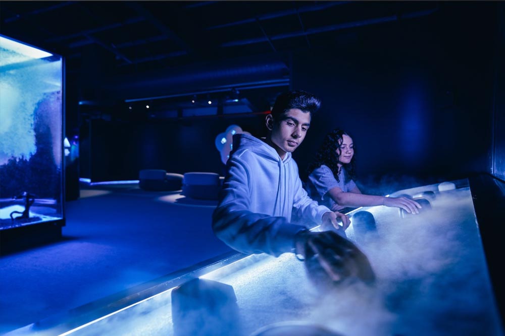 Scienceworks Museums Melbourne - Image 4 of 12