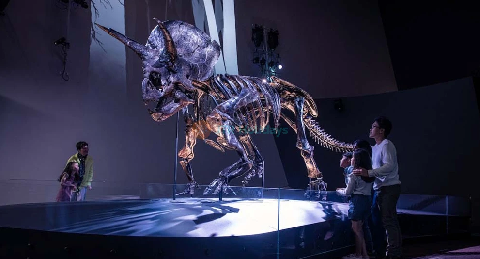 Melbourne Museum - Image 1 of 5