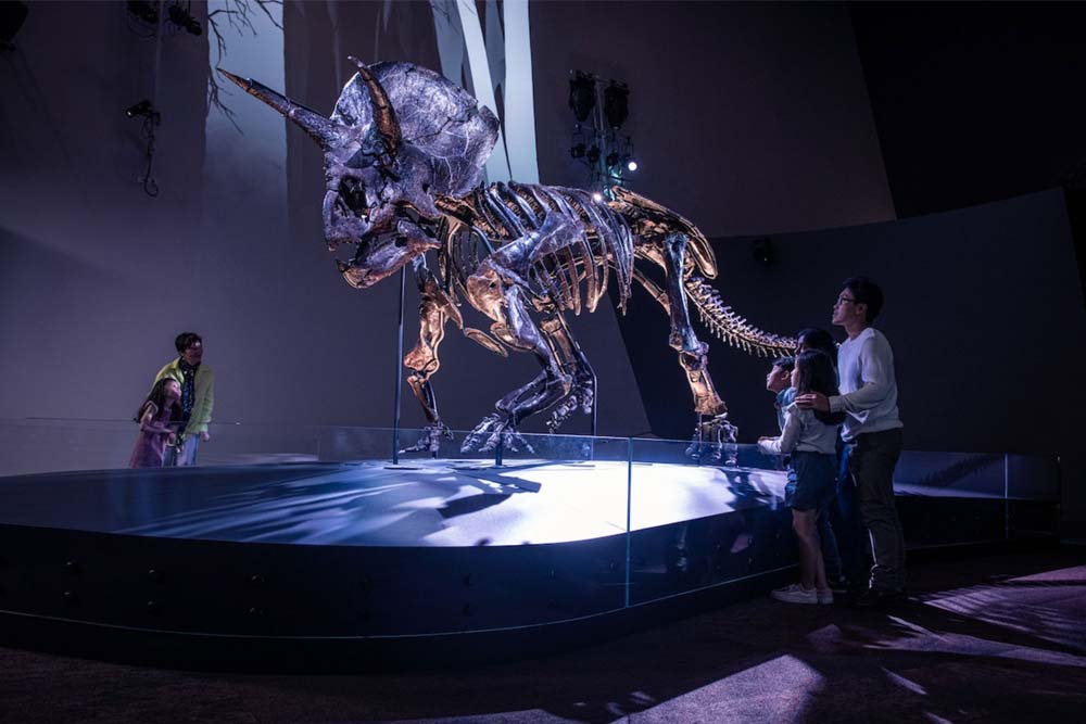 Melbourne Museum - Discover the Melbourne Museum, one of Australia's premier cultural destinations. Explore fascinating exhibits on science, history, and indigenous cultures. From ancient fossils to interactive displays, the museum offers something for everyone. Plan your visit to the Melbourne Museum today and immerse yourself in the rich heritage of Melbourne. Don't miss out on special exhibitions and events Melbourne Museum - Image 1 of 5