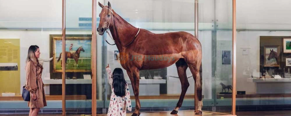 Melbourne Museum - Image 3 of 5