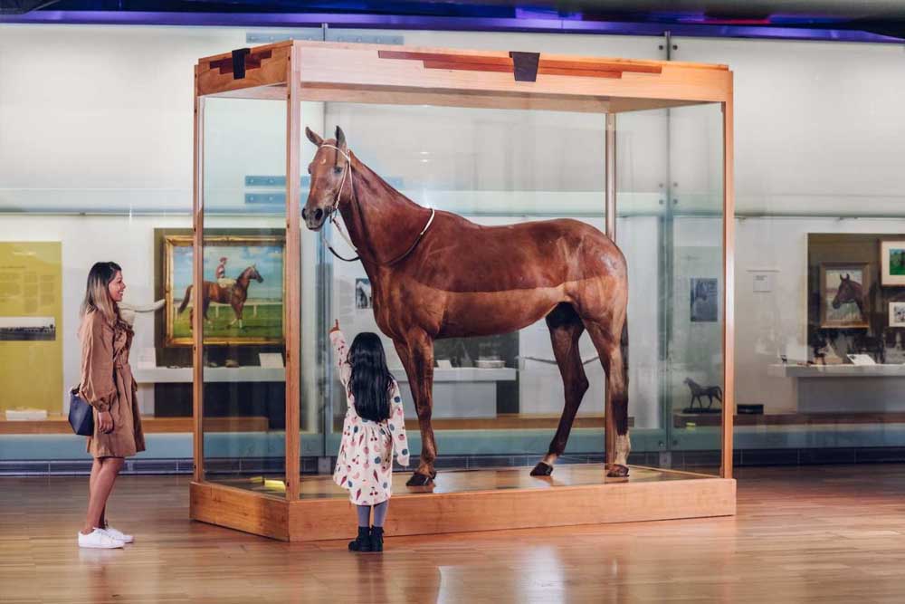 Melbourne Museum - Image 3 of 5