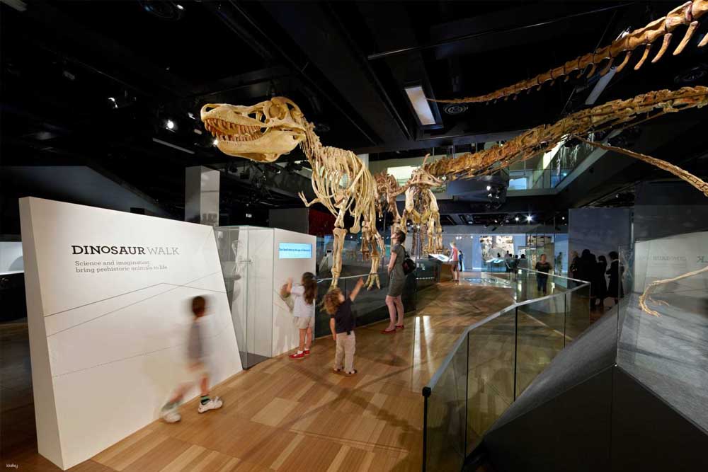 Museo de Melbourne - Descubra el Museo de Melbourne, uno de los principales destinos culturales de Australia. Explore fascinantes exposiciones sobre ciencia, historia y culturas indígenas. Desde fósiles antiguos hasta exhibiciones interactivas, el museo ofrece algo para todos. Planifique su visita al Museo de Melbourne hoy y sumérjase en la rica herencia de Melbourne. No se pierda las exposiciones y eventos especiales Museo de Melbourne - Imagen 5 de 5
