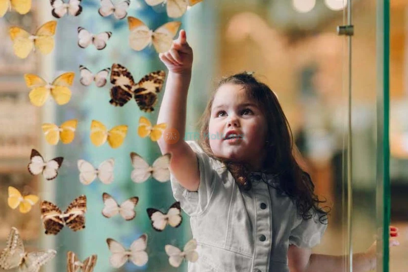 Melbourne Museum - Image 6 of 8