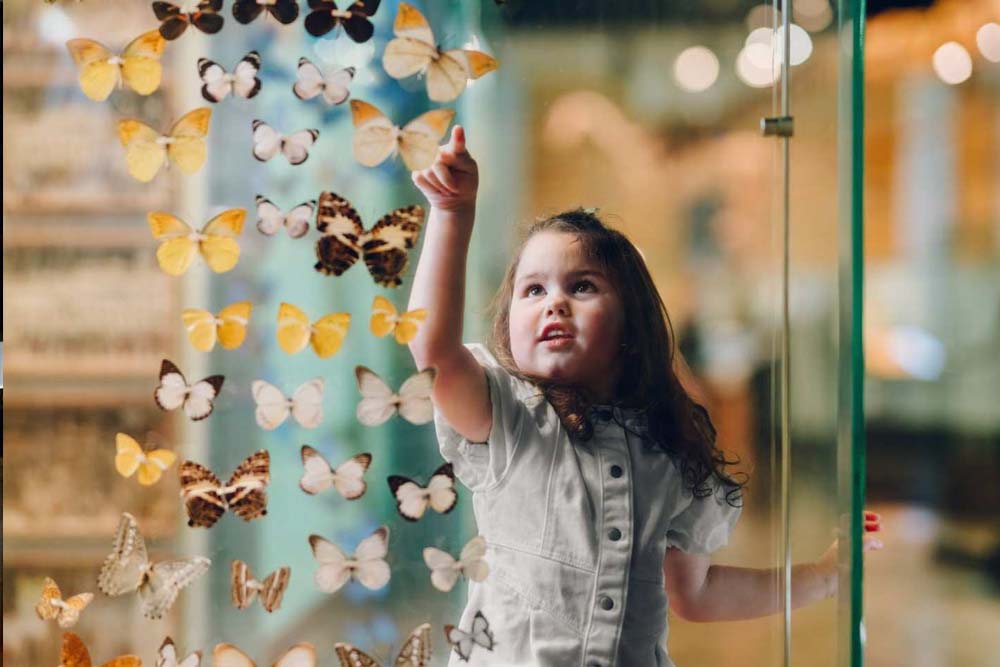 Melbourne Museum - Image 6 of 8