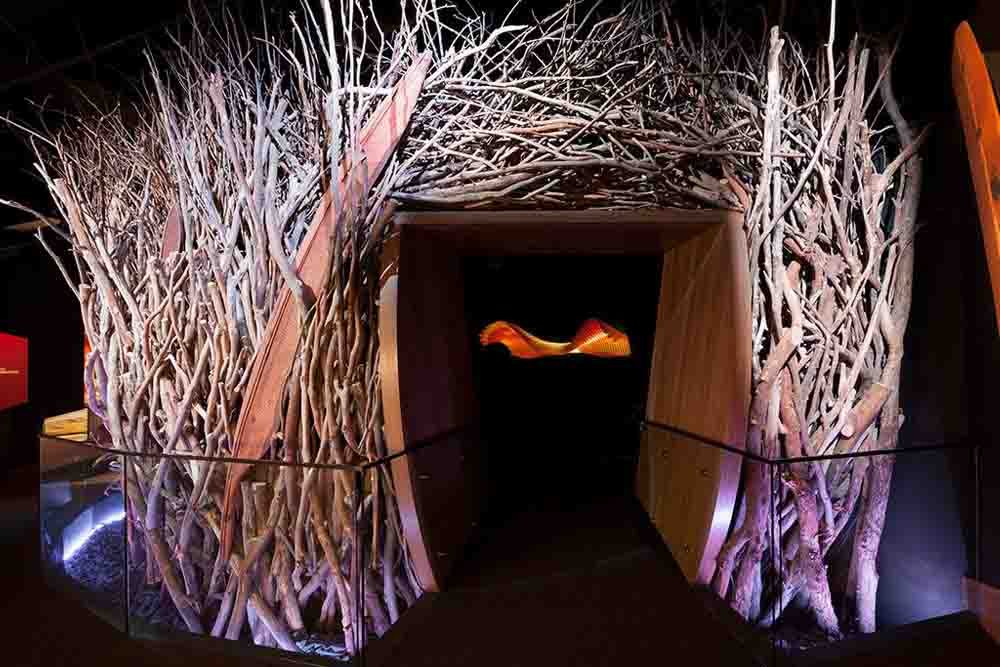 Melbourne Museum - Image 7 of 8