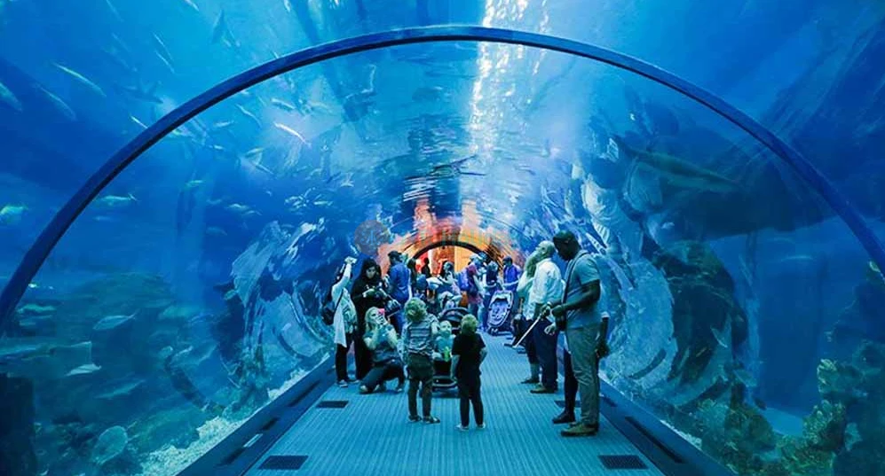 Dubai Aquarium and Underwater Zoo - Dubai Mall - Discover an aquatic wonderland at Dubai Mall’s Aquarium & Underwater Zoo, featuring the mesmerizing Penguin Cove! Stroll through a spectacular underwater tunnel, encounter sharks, rays, and colorful fish up close, and be enchanted by the playful penguins at Penguin Cove. Ideal for families and ocean enthusiasts, this unforgettable experience brings the magic of marine life to the heart of Dubai. Dubai Aquarium and Underwater Zoo - Dubai Mall - Image 1 of 5