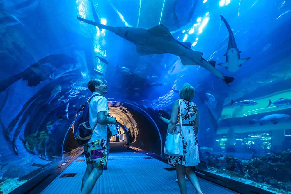 Aquarium de Dubaï et zoo sous-marin - Dubaï Mall - Image 4 sur 5
