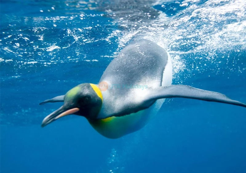 SEA LIFE Paris Aquarium