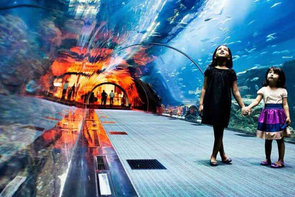 Dubai Aquarium und Unterwasserzoo - Dubai Mall - Image 8 of 8