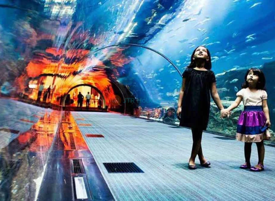 Dubai Mall Aquarium & Underwater Zoo | Explore Marine Wonders - JTR Holidays - Image 8 of 8