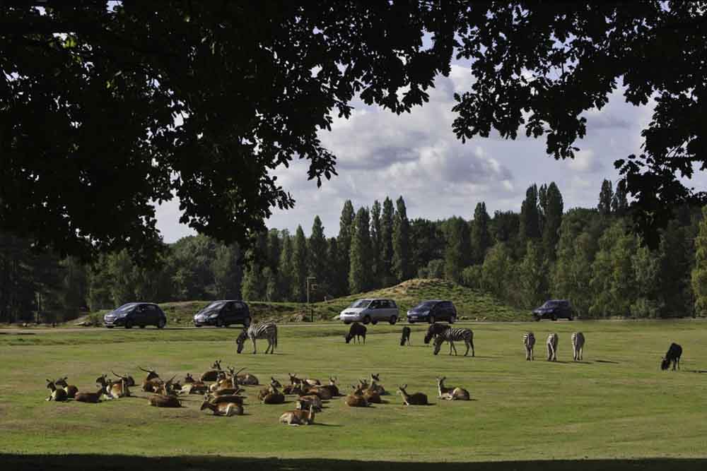 Thoiry ZooSafari - Skip The Line - Image 2 of 10