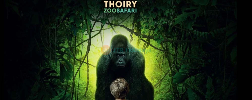 Thoiry ZooSafari | Safari Adventure & Wildlife Park Near Paris - JTR Holidays - Image 3 of 5