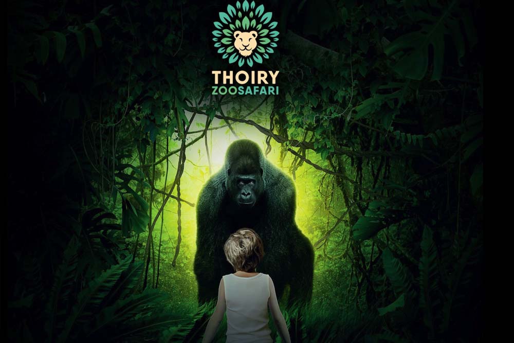 ZooSafari de Thoiry - Accès coupe-file - Vivez l'émotion du ZooSafari de Thoiry, à seulement 40 km à l'ouest de Paris, où vous pouvez traverser en voiture un parc animalier de 150 hectares et observer 1,500 animaux issus de plus de 180 espèces. Des zèbres aux girafes, en passant par les lions, les tigres et bien d'autres, rencontrez des créatures incroyables de près et en toute sécurité depuis votre véhicule. Explorez les expositions interactives du zoo, les tunnels en verre et les aventures dans les arbres. Idéal pour une sortie en famille, le ZooSafari de Thoiry offre une journée inoubliable en pleine nature. ZooSafari de Thoiry - Accès coupe-file - Image 3 sur 5