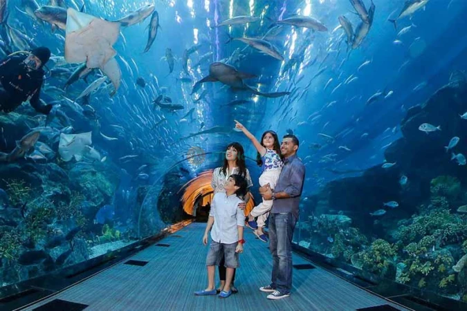 Dubai Aquarium and Underwater Zoo - Dubai Mall