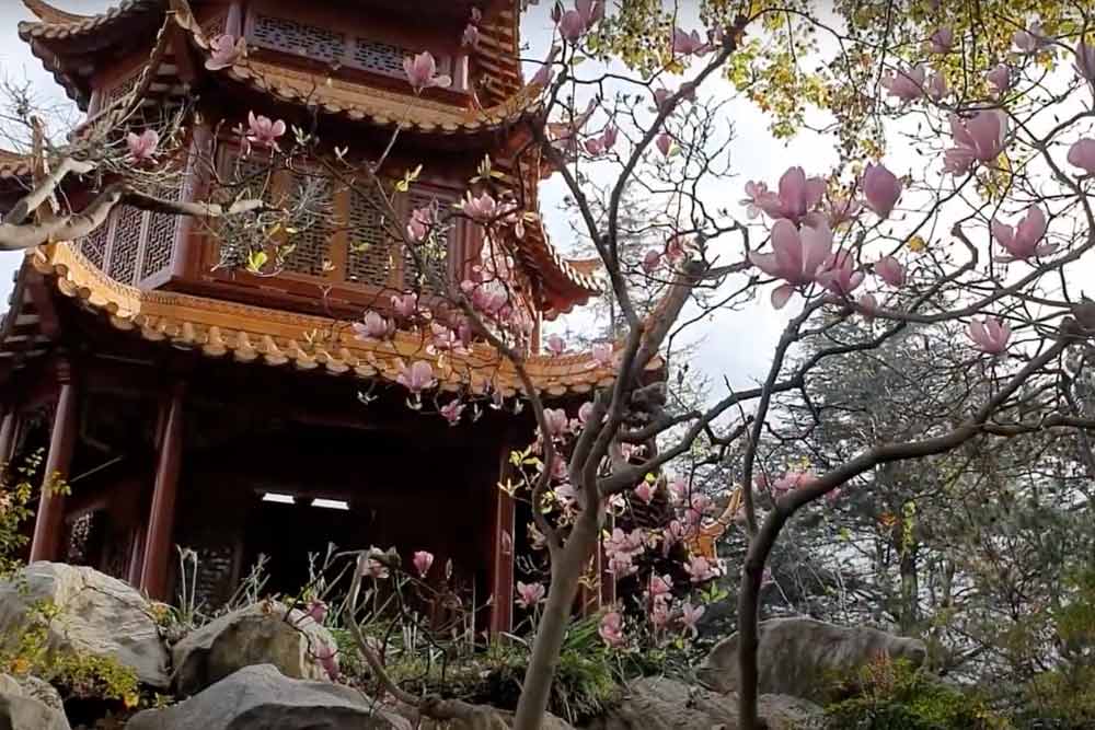 Chinese Garden of Friendship Sydney Ticket - Image 6 of 8