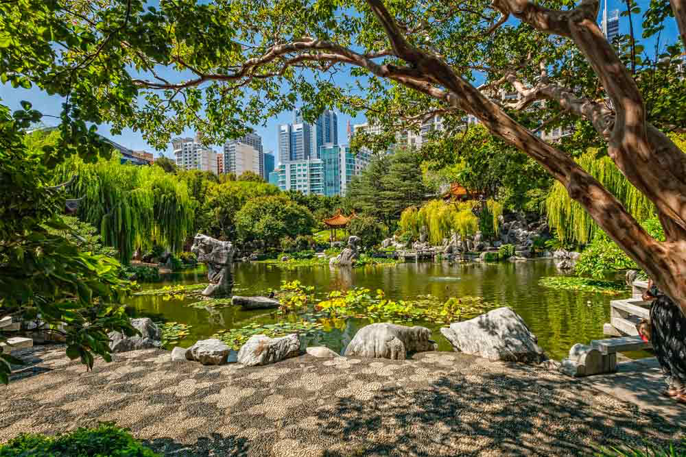 Chinese Garden of Friendship Sydney Ticket - Image 3 of 5