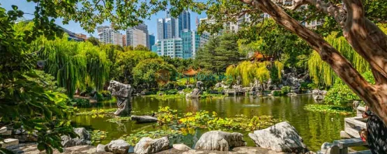 Chinese Garden of Friendship Sydney Tickets | Book Your Visit Today - JTR Holidays