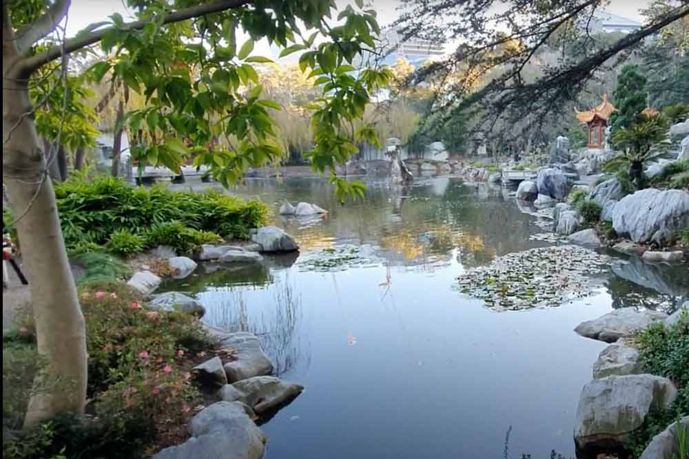 Chinese Garden of Friendship Sydney Ticket - Image 8 of 8