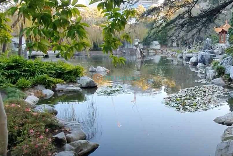 Chinese Garden of Friendship Sydney Tickets | Book Your Visit Today - JTR Holidays