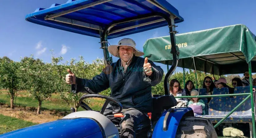 Melbourne's Yarra Valley Orchard Tour - Image 1 of 6