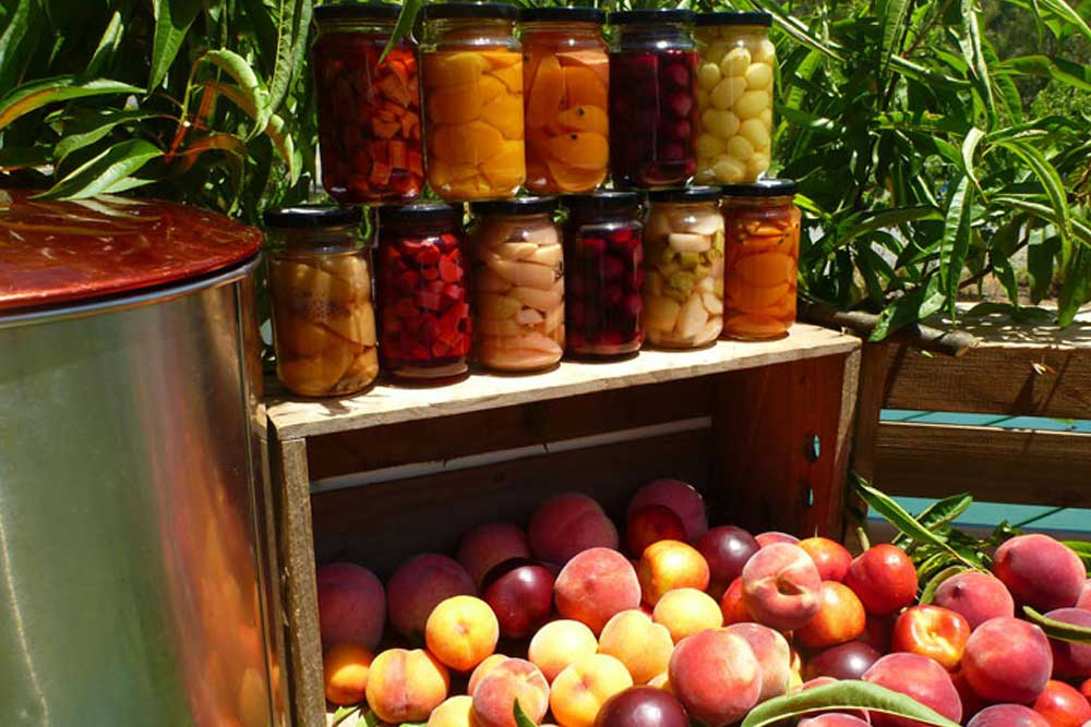 Melbourne's Yarra Valley Orchard Tour - Image 5 sur 5