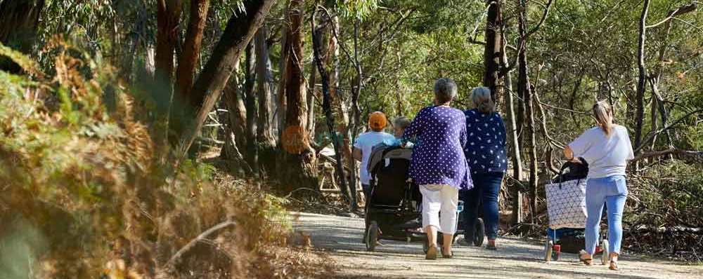 Royal Botanic Gardens Cranbourne - Image 4 of 5