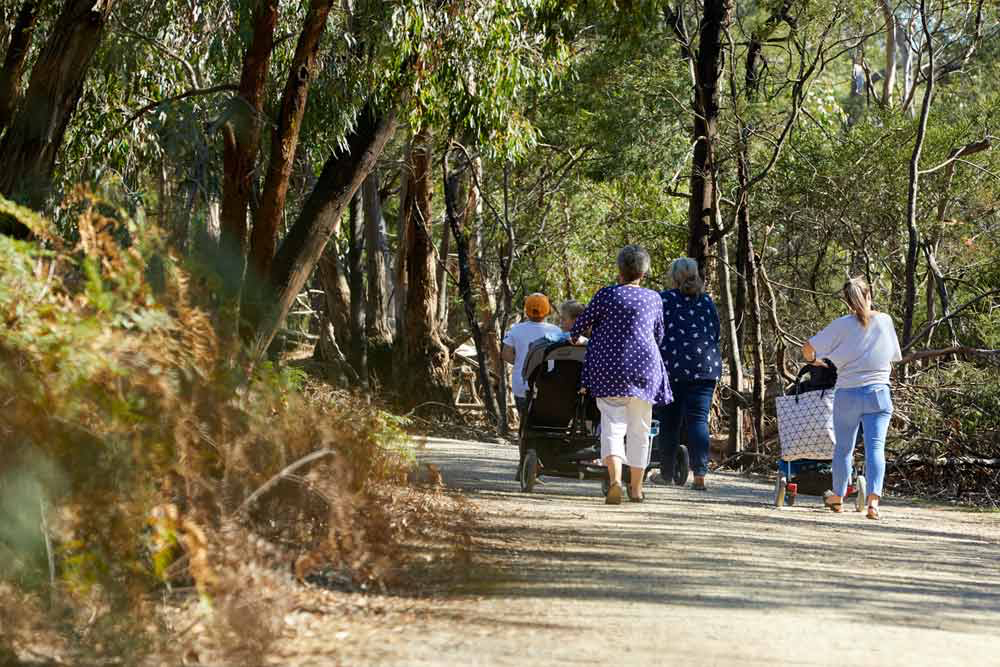 Royal Botanic Gardens Cranbourne - Explore the Royal Botanic Gardens Cranbourne on a guided tour, featuring the stunning 15-hectare Australian Garden. Enjoy breathtaking views of the Red Sand Garden and the refreshing aroma of the Peppermint Garden. Perfect for nature lovers. Royal Botanic Gardens Cranbourne - Image 4 of 5