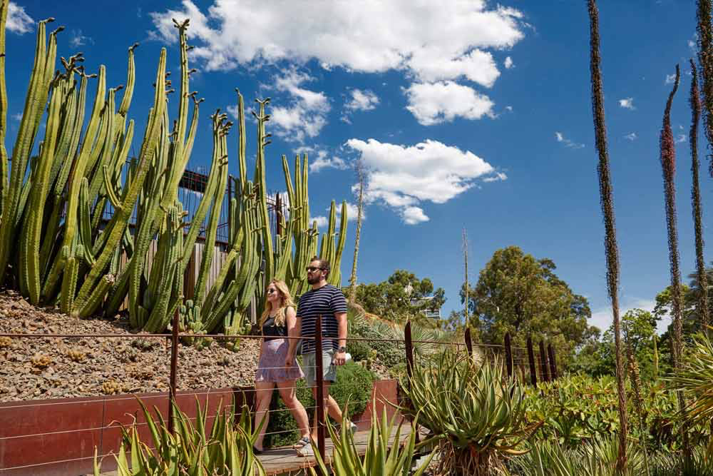 维多利亚皇家植物园 - Image 2 of 8