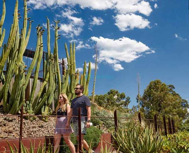 Jardines Botánicos Reales de Victoria - Imagen 2 de 5