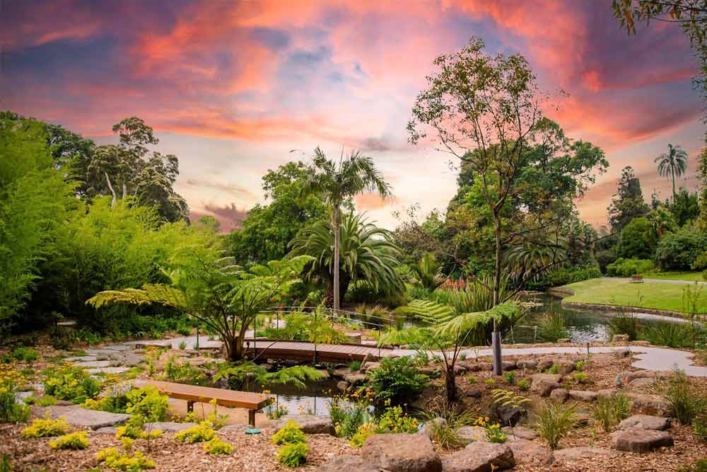 维多利亚皇家植物园 - 图片 3 的 5