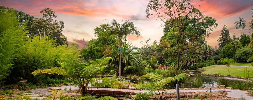 Jardines Botánicos Reales de Victoria - Imagen 3 de 5