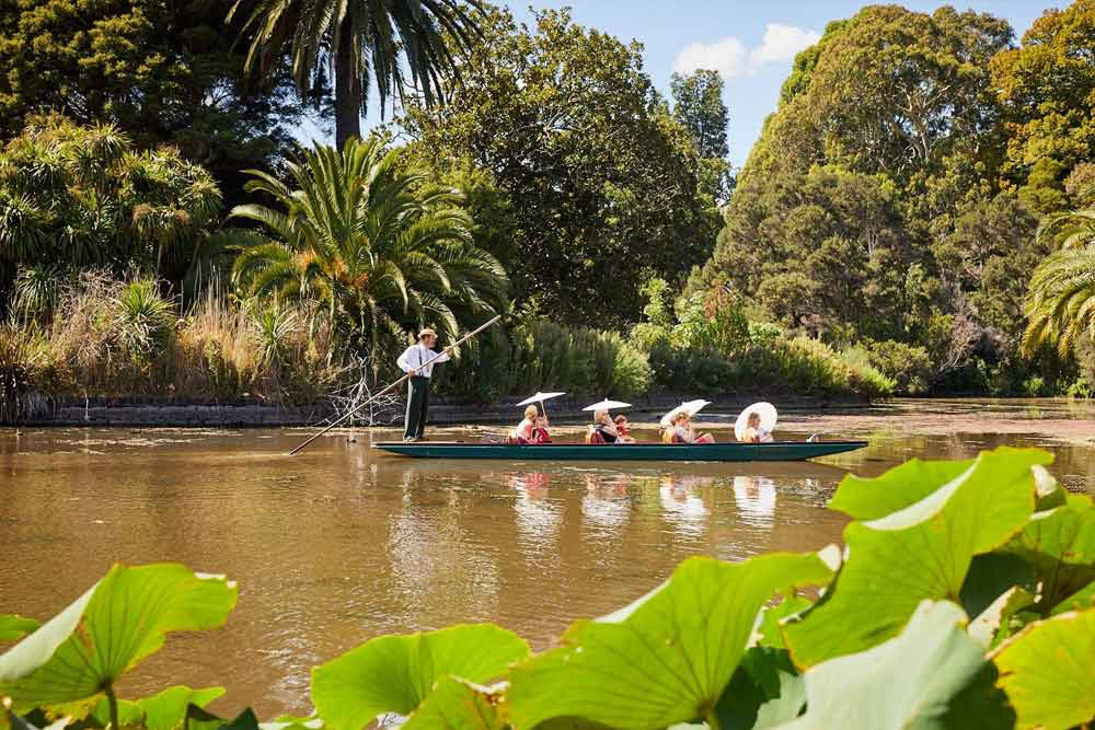 维多利亚皇家植物园 - 图片 4 的 5