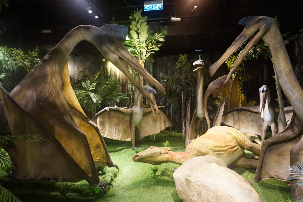 丽贝利冒险乐园云顶高原 - 图片 3 的 5