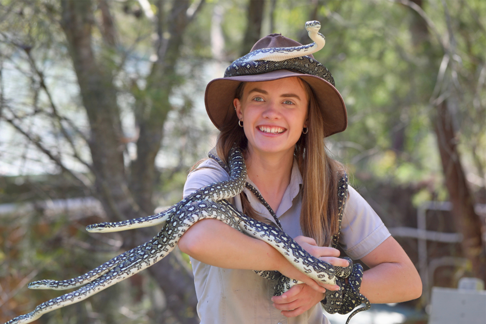 Australian Reptile Park - Image 1 of 8