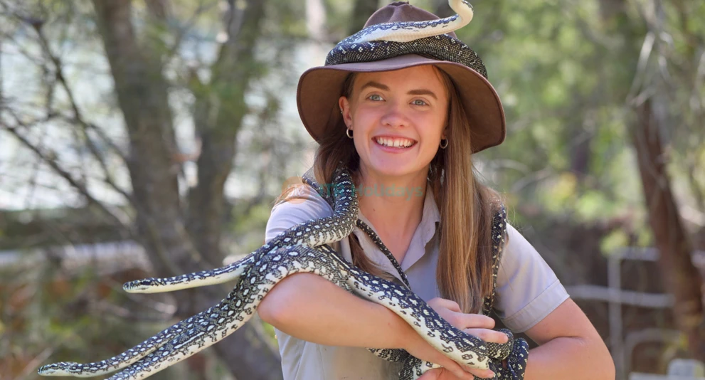 Australian Reptile Park - Image 1 of 5