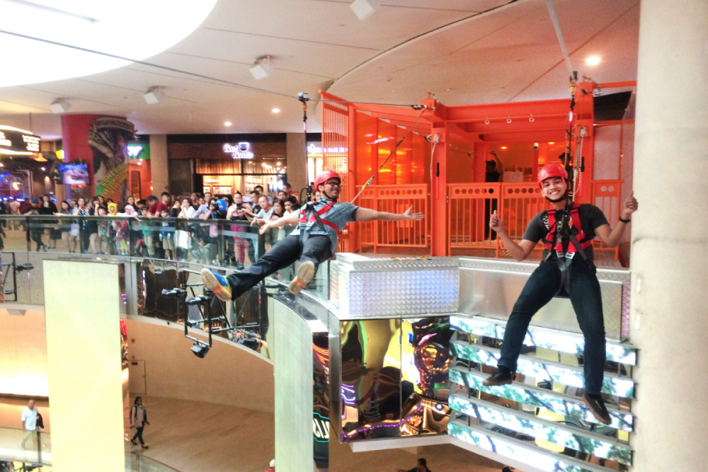 Adler Lande Zipline - Bild 4 von 5