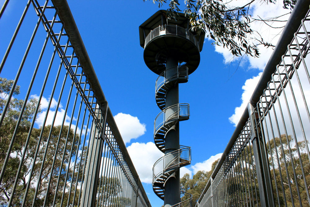 Illawarra Fly Treetop Adventures - Image 1 of 8