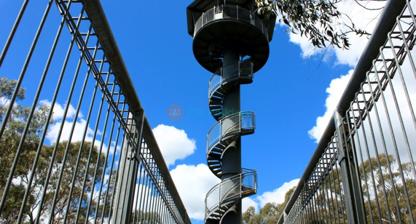 Illawarra Fly Treetop Adventures - Canopy Walk & Views - JTR Holidays