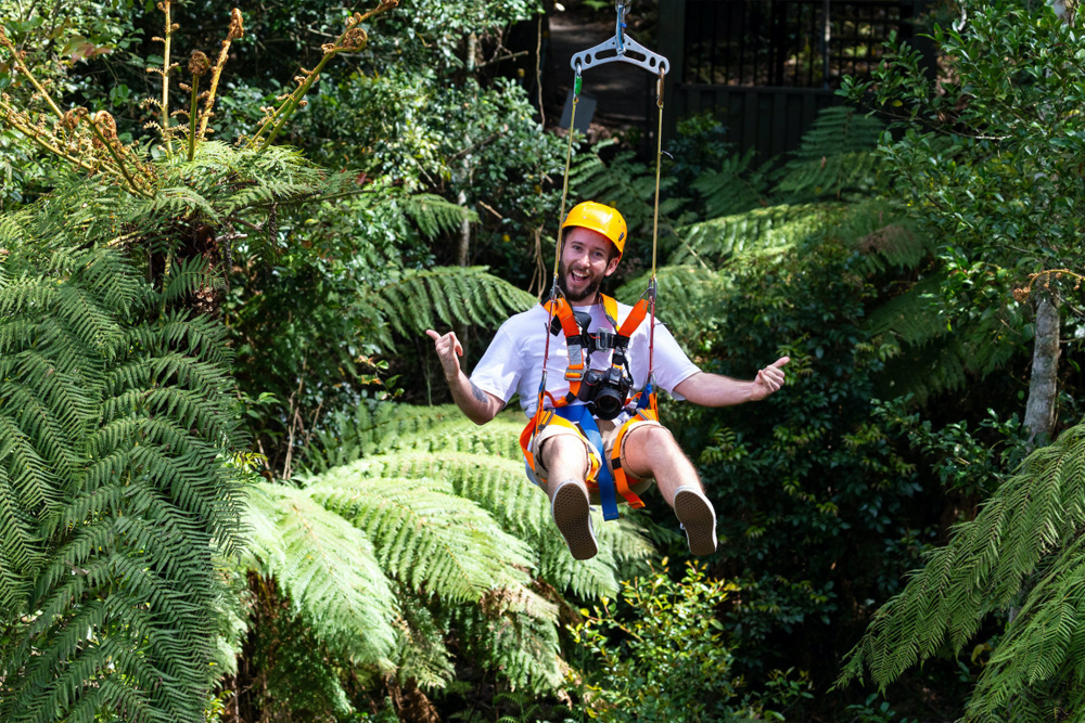 Illawarra Fly Treetop Adventures - Image 2 of 5