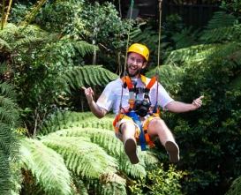 Illawarra Fly Treetop Adventures - Canopy Walk & Views - JTR Holidays