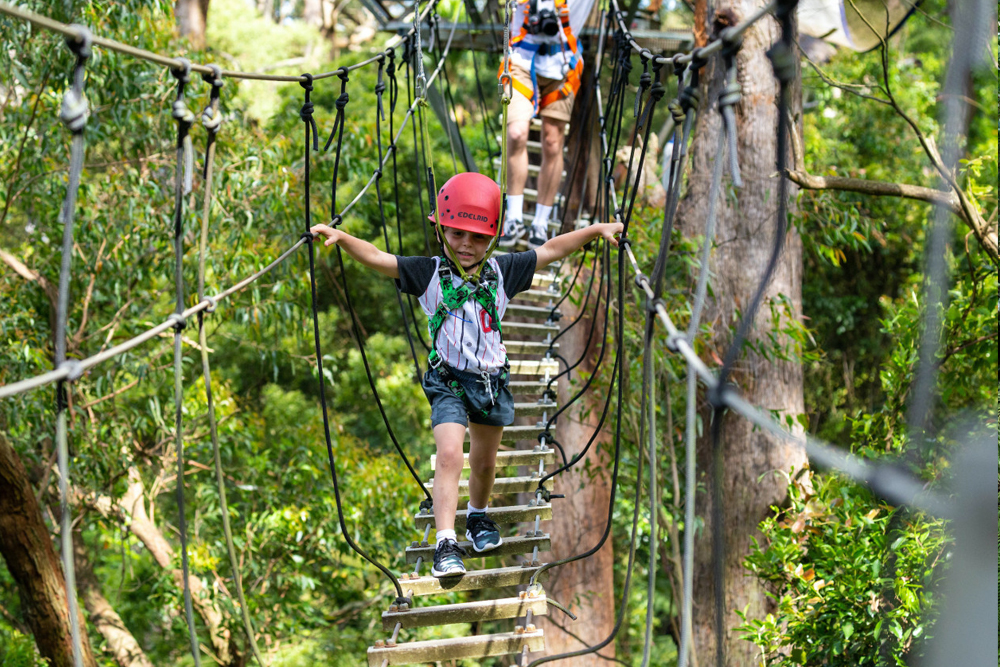 Illawarra Fly Treetop Adventures - Image 3 of 8