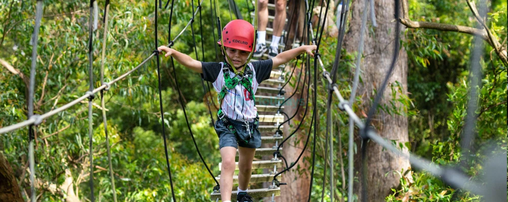Illawarra Fly Treetop Adventures - Canopy Walk & Views - JTR Holidays - Image 3 of 5