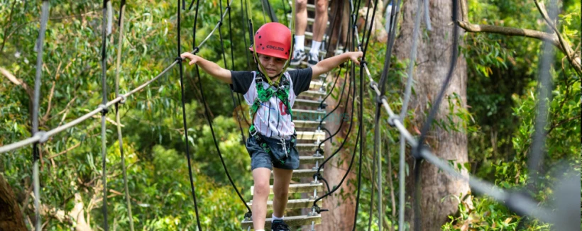 Illawarra Fly Treetop Adventures - Image 3 of 5