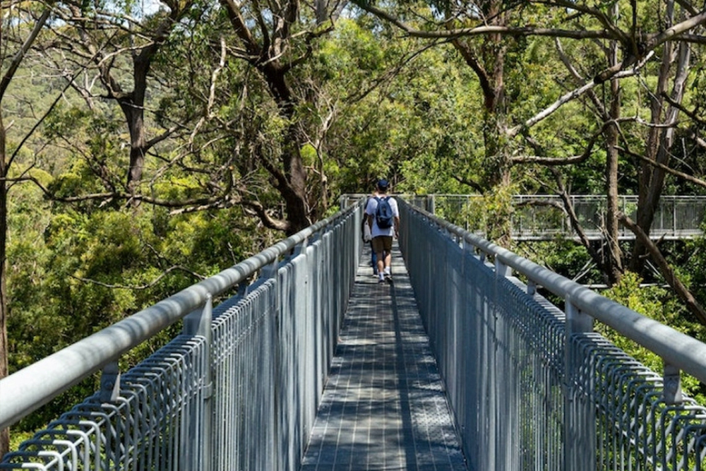 Illawarra Fly Treetop Adventures - Image 4 of 5