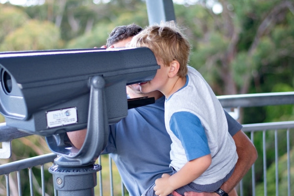 Illawarra Fly Treetop Adventures - Image 5 of 5