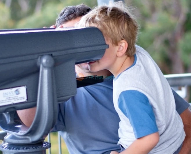 Illawarra Fly Treetop Adventures - Canopy Walk & Views - JTR Holidays - Image 5 of 5