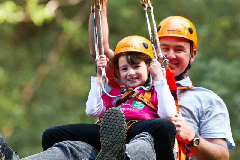 Illawarra Fly Treetop Adventures - Canopy Walk & Views - JTR Holidays