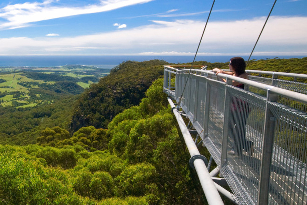 Illawarra Fly Treetop Adventures - Image 8 of 8