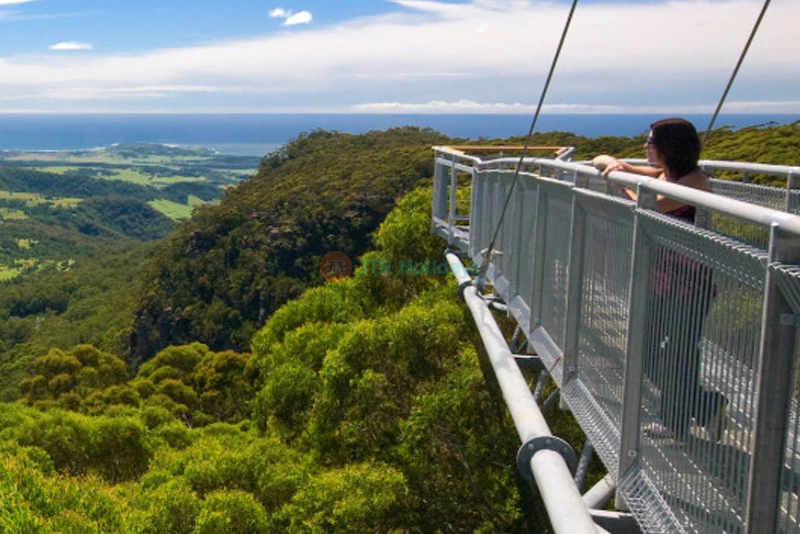 Illawarra Fly Treetop Adventures - Canopy Walk & Views - JTR Holidays